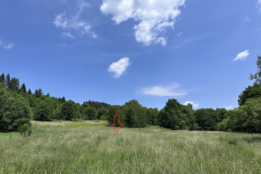 małopolskie, limanowski, Mszana Dolna, Kasina Wielka, Działka, Kasina Wielka 3400 m2 - Rolna Siedliskowa