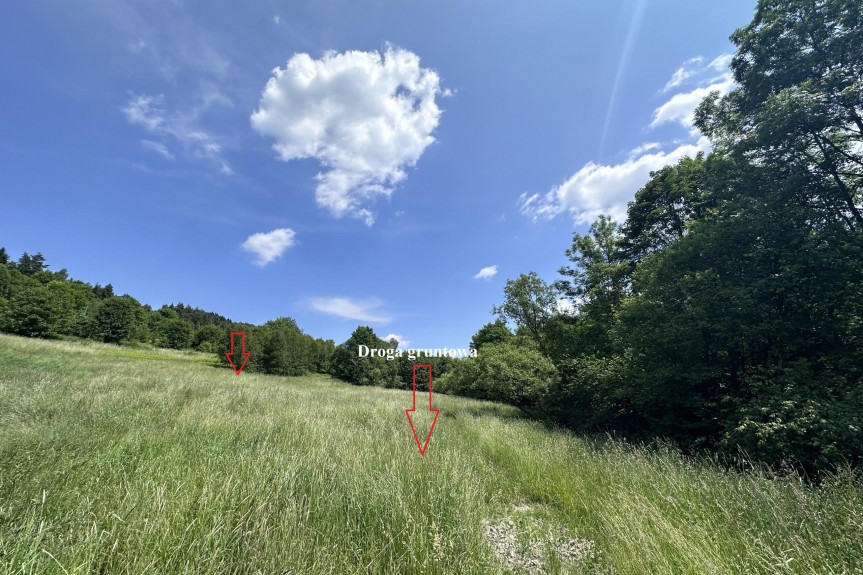 limanowski, Mszana Dolna, Kasina Wielka, Działka, Kasina Wielka 3400 m2 - Rolna Siedliskowa