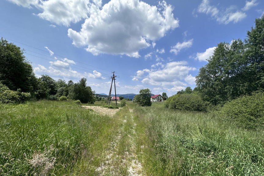 limanowski, Mszana Dolna, Kasina Wielka, Działka, Kasina Wielka 3400 m2 - Rolna Siedliskowa