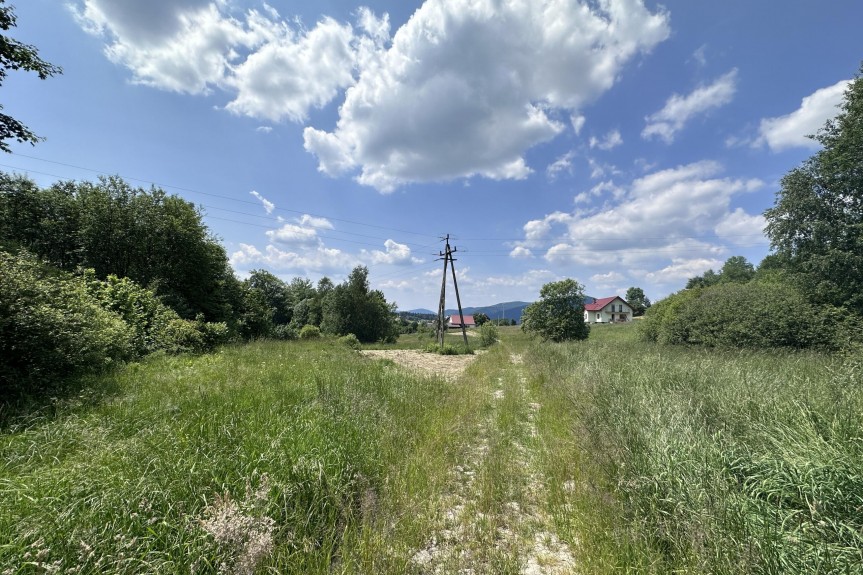 limanowski, Mszana Dolna, Kasina Wielka, Działka, Kasina Wielka 3400 m2 - Rolna Siedliskowa