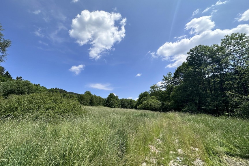 limanowski, Mszana Dolna, Kasina Wielka, Działka, Kasina Wielka 3400 m2 - Rolna Siedliskowa