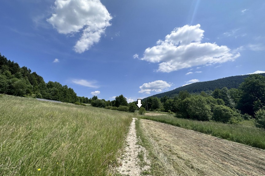 limanowski, Mszana Dolna, Kasina Wielka, Działka, Kasina Wielka 3400 m2 - Rolna Siedliskowa
