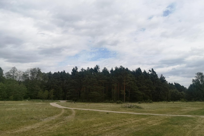 lubaczowski, Narol, Płaz&oacute;w, Działka budowlana 4281m2, Płaz&oacute;w - Roztocze