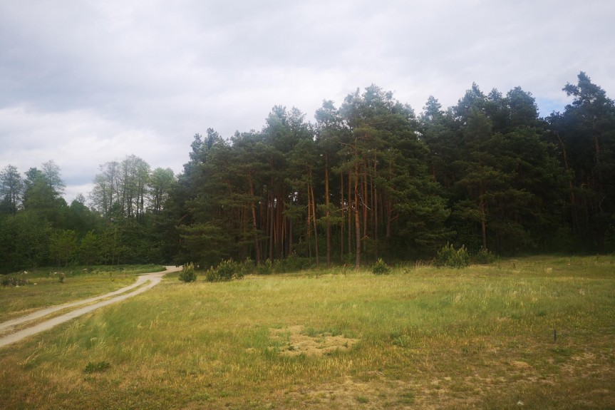 lubaczowski, Narol, Płaz&oacute;w, Działka budowlana 4281m2, Płaz&oacute;w - Roztocze