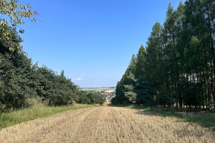 krakowski, Liszki, Morawica, Działka rolno-budowlana Morawica 4800m2