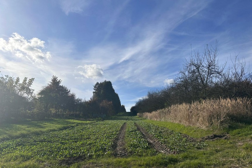 krakowski, Liszki, Morawica, Działka rolno-budowlana Morawica 4800m2