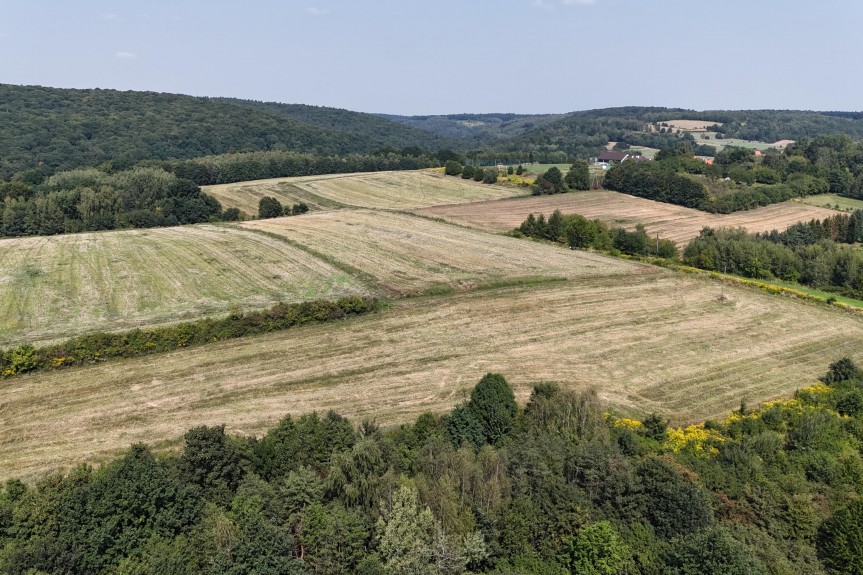 krakowski, Zabierz&oacute;w, Radwanowice, Działka widokowa zagrodowa 3050m2, Radwanowice