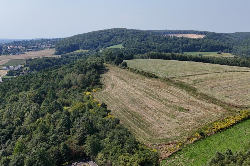 krakowski, Zabierz&oacute;w, Radwanowice, Działka widokowa zagrodowa 3050m2, Radwanowice