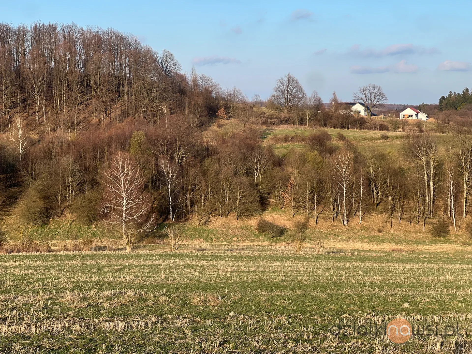 Działka budowlana - Góry Sowie - Dziećmorowice