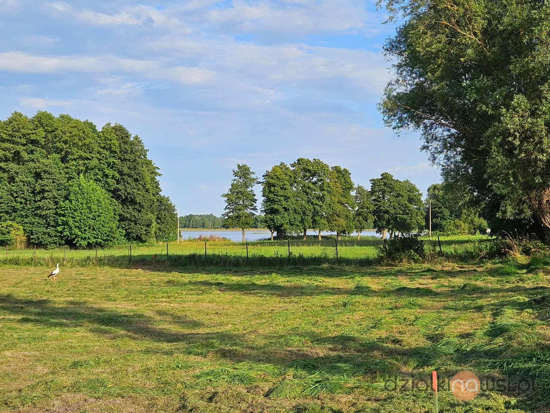 Działka 1000m2 bezterminowe wz