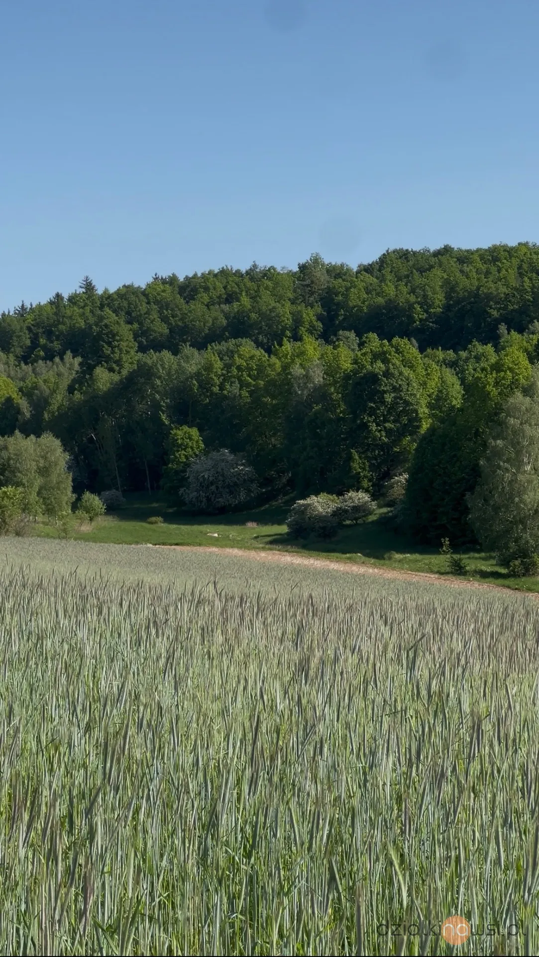Działka budowlana - Góry Sowie - Dziećmorowice