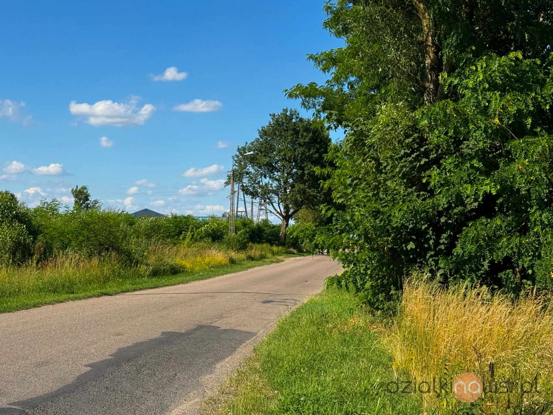 Działki budowlane 1500 m² | Sprzedaż | Regimin 10 km od Ciechanowa