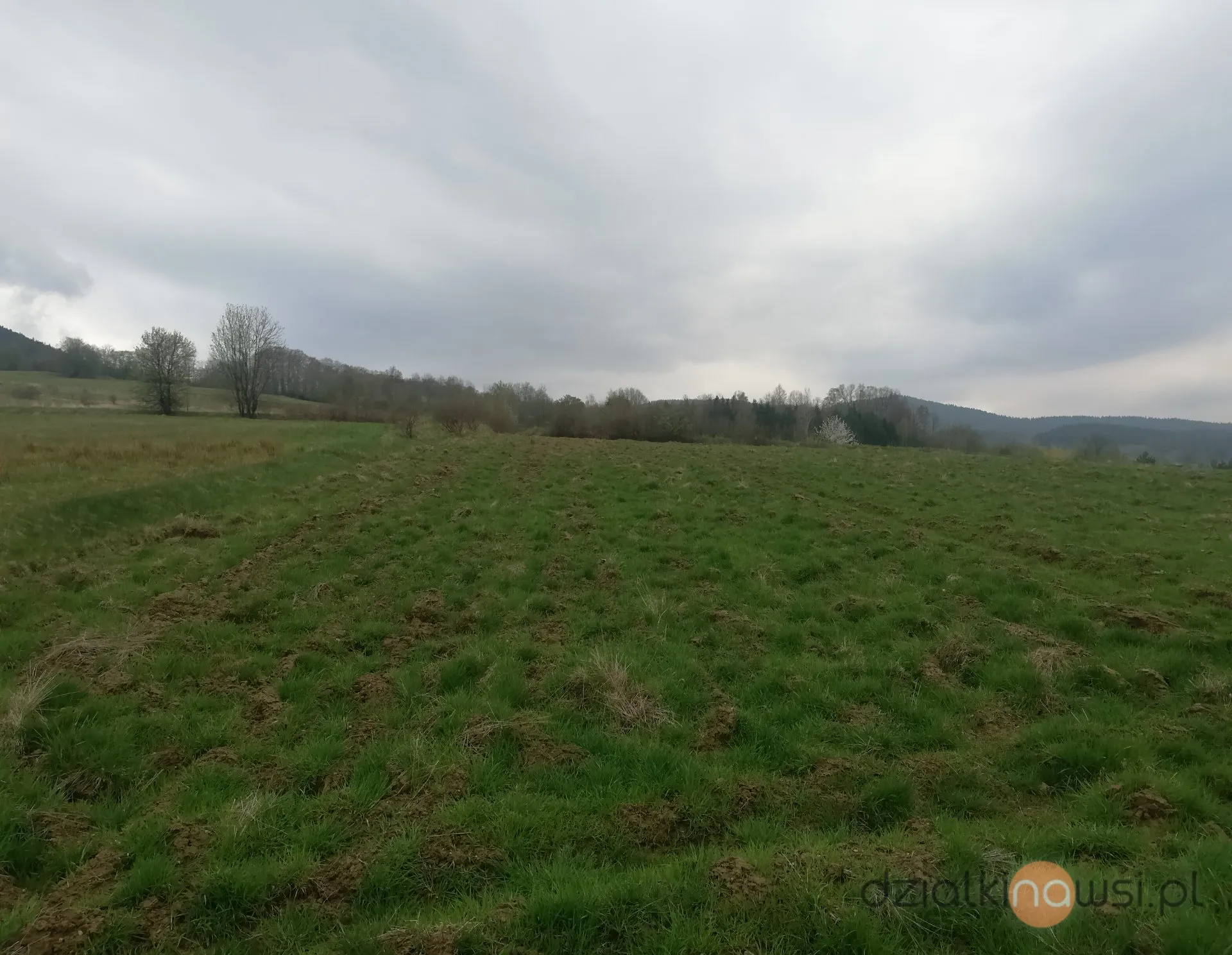 Działka budowlana 40a Wiśniowa koło Myślenic (32-400)