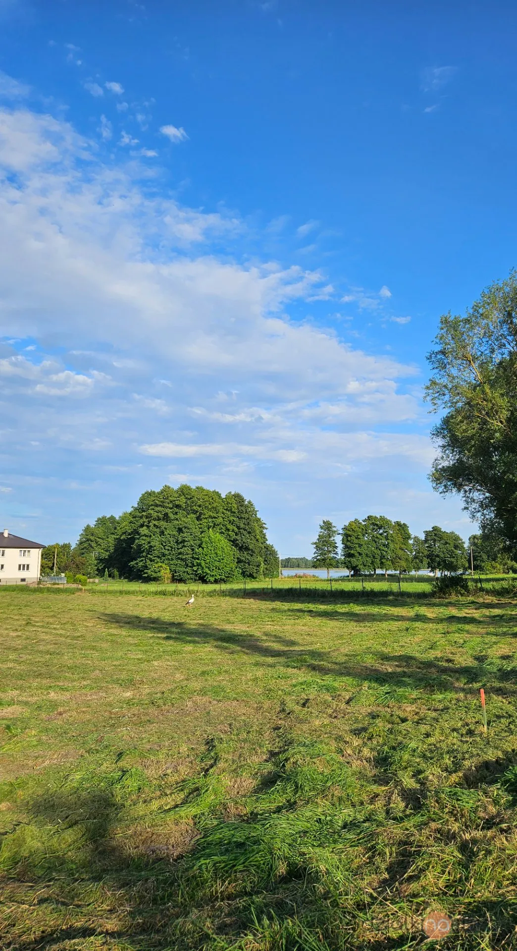 Działka 1000m2 bezterminowe wz