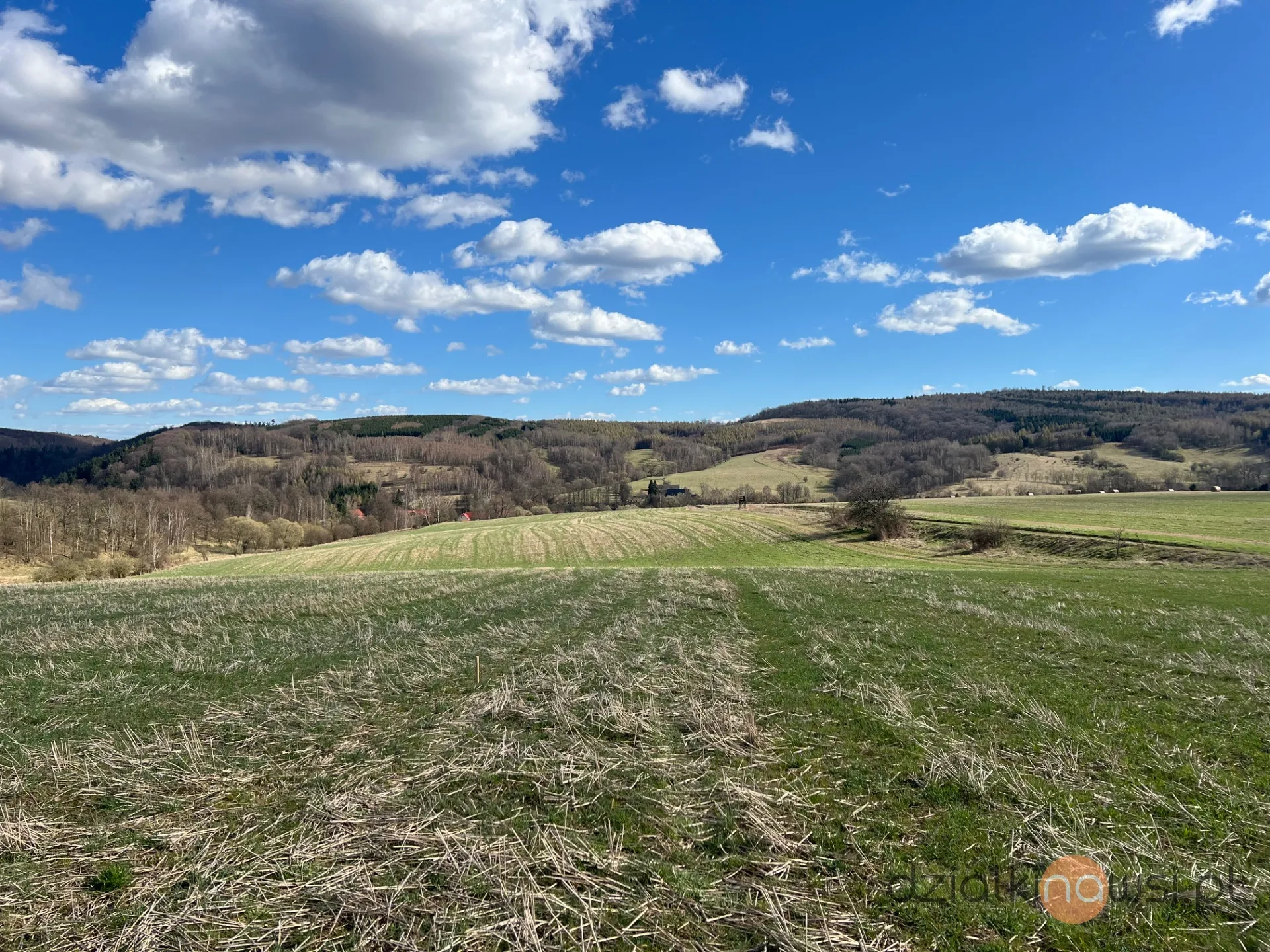 Działka budowlana - Góry Sowie - Dziećmorowice