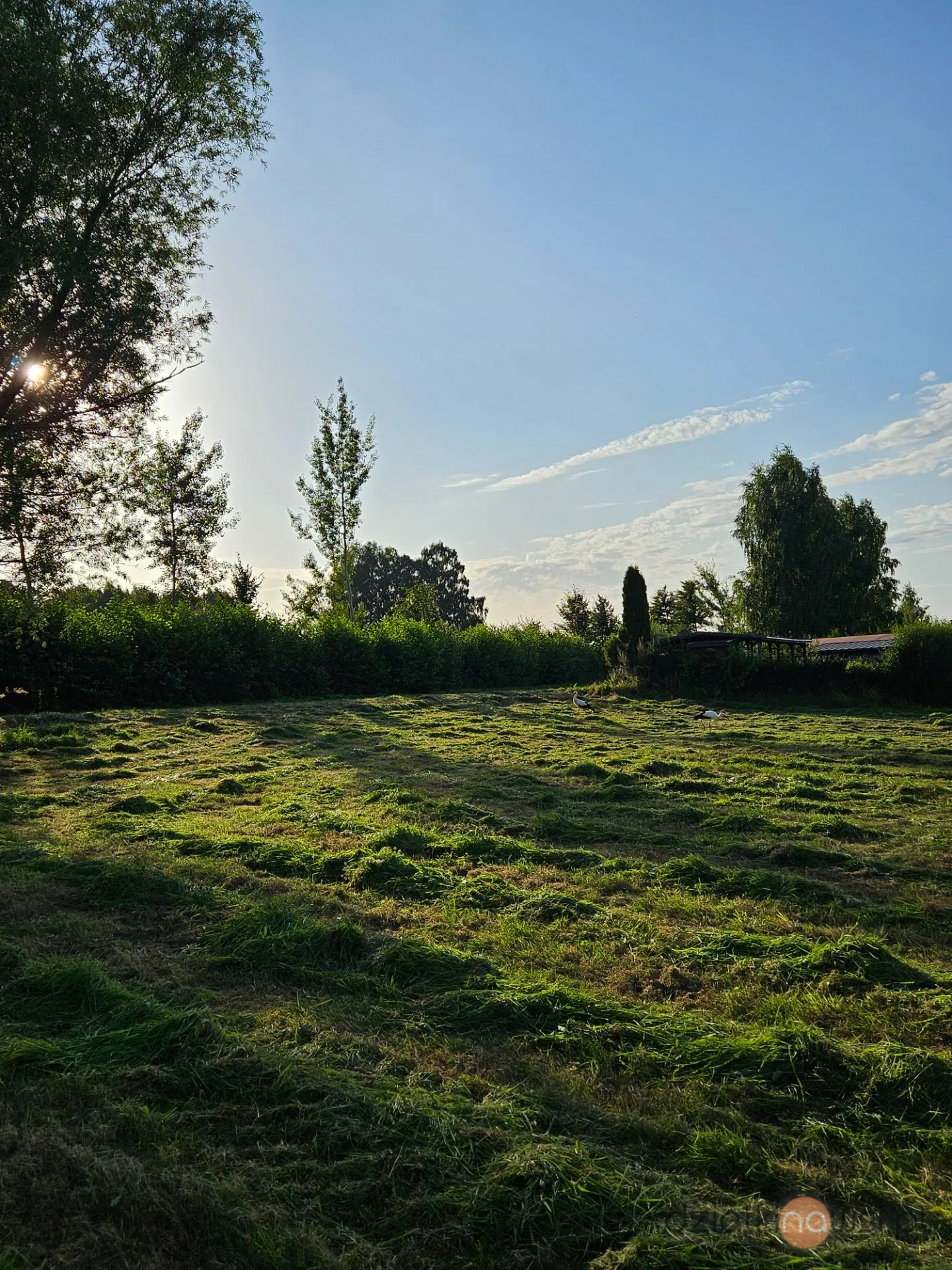 Działka 1000m2 bezterminowe wz