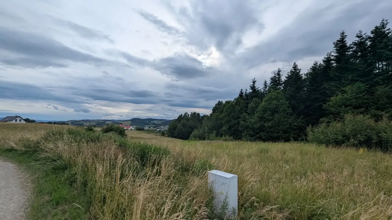 Działka budowlana 55ar- widokowa pod lasem | 6,5km od centrum Nowego Sącza - Biczyce Górne |