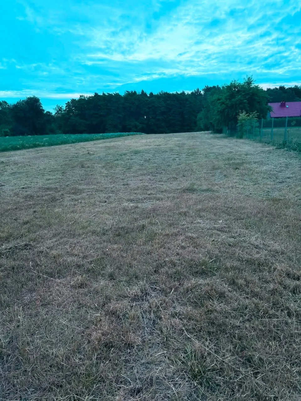 Działka 3000m z WZ blisko lasu, Grabie, gm: Nowe Miasto