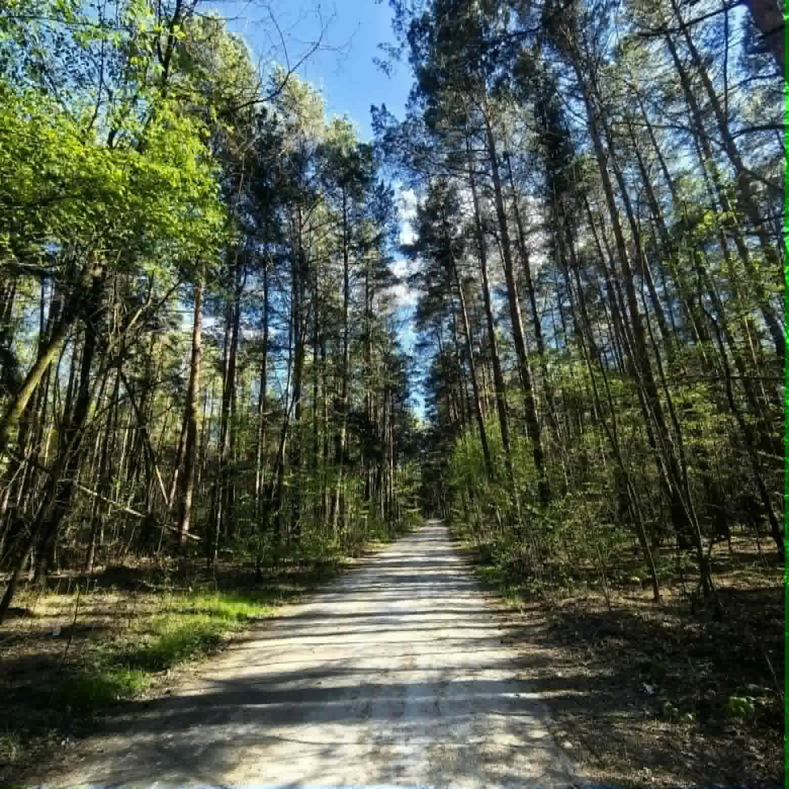 Działka budowlano-rolna z warunkami zabudowy 20 km od Radomska w gminie Kodrąb, miejscowość Klizin ( woj. łódzkie) - 1,34 ha
