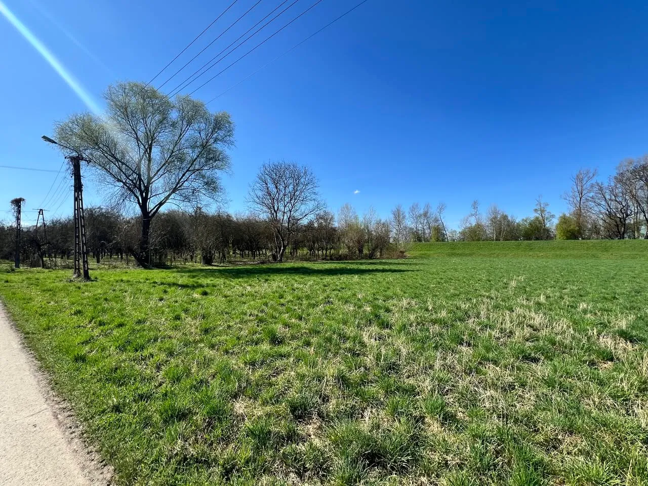 DZIAŁKA 6000m2 Z SADEM – MANIÓW gm. Szczucin (powiat dąbrowski) (MAŁOPOLSKA)