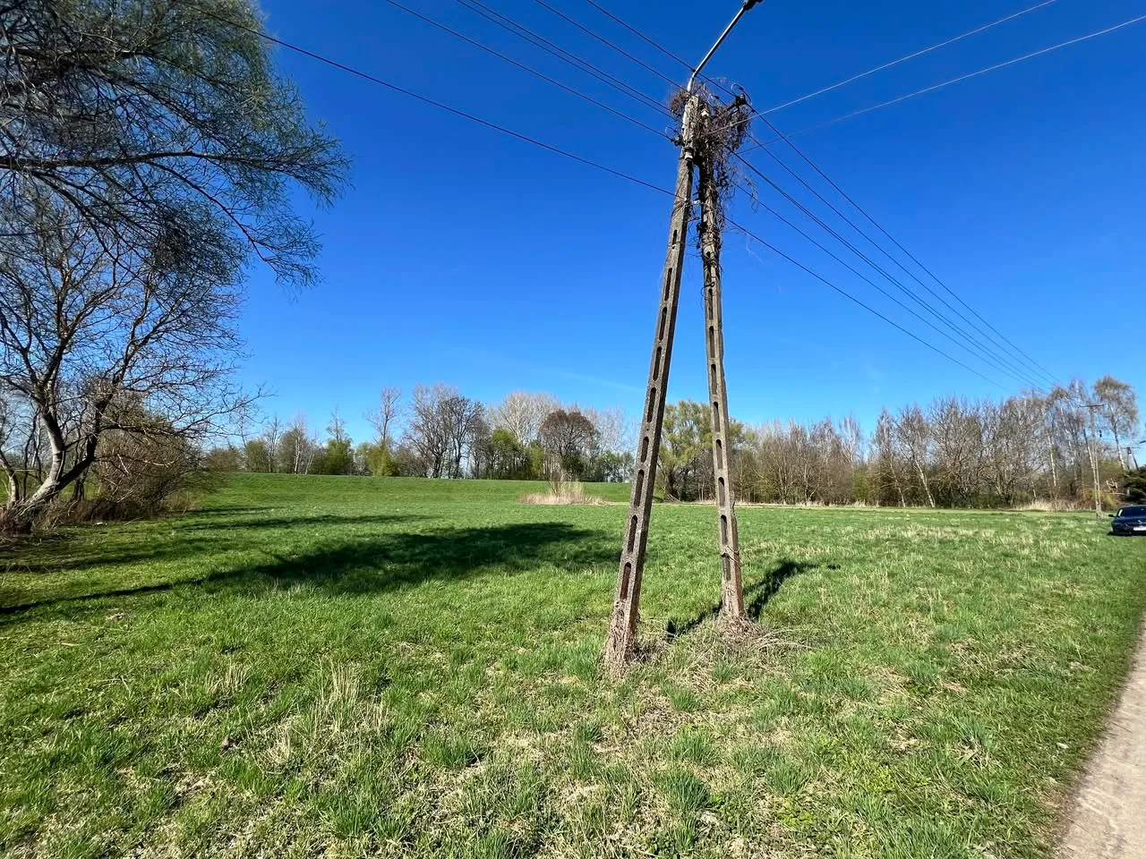 DZIAŁKA 6000m2 Z SADEM – MANIÓW gm. Szczucin (powiat dąbrowski) (MAŁOPOLSKA)