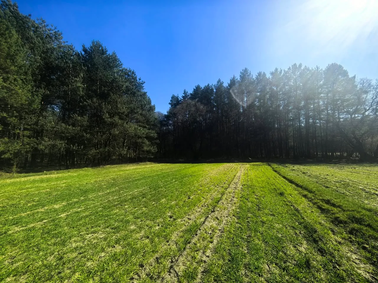 Działka budowlano-rolna z warunkami zabudowy 20 km od Radomska w gminie Kodrąb, miejscowość Klizin ( woj. łódzkie) - 1,34 ha
