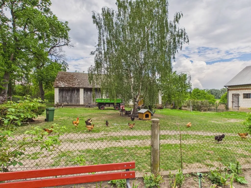 15,36 ha z własną linią brzegową Wisły – tylko 65 km od Warszawy!