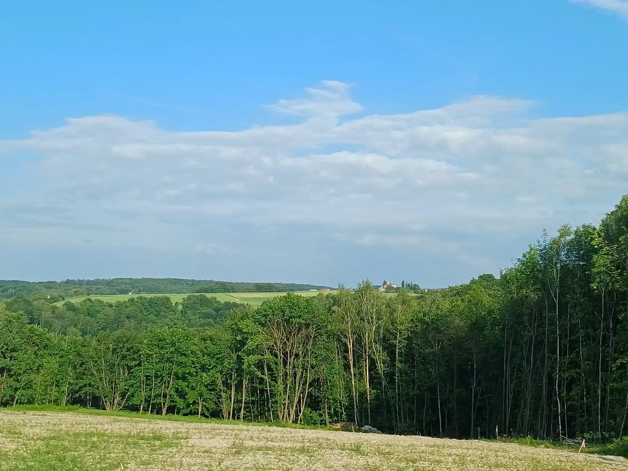 Działki z lasem w miejscowości Dąbrówka Szczepanowska gm.Pleśna woj.Małopolskie - 1,19 ha