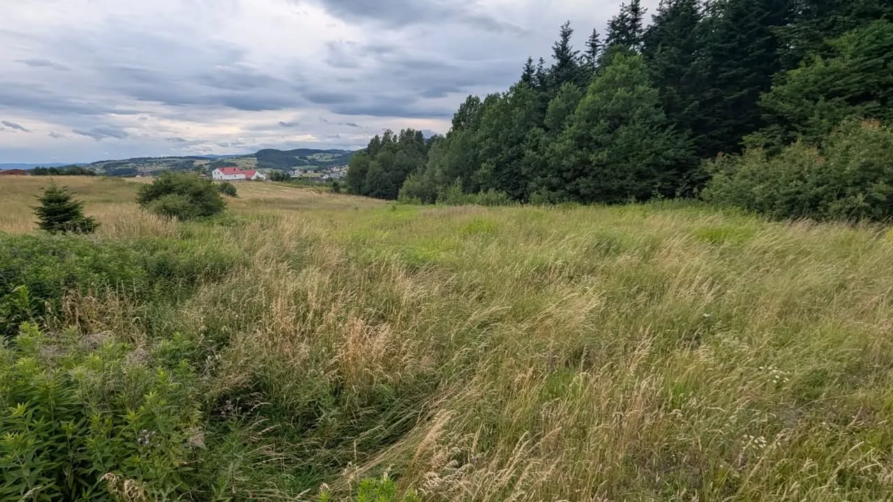 Działka budowlana 55ar- widokowa pod lasem | 6,5km od centrum Nowego Sącza - Biczyce Górne |