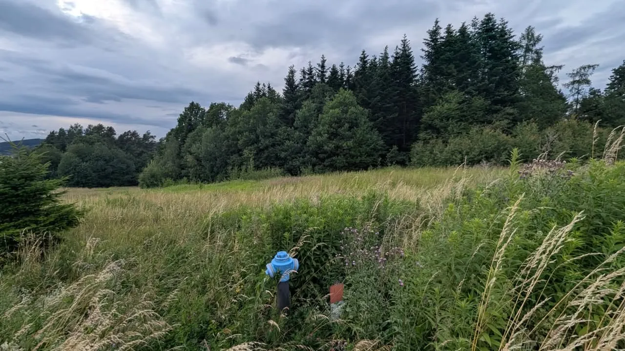 Działka budowlana 55ar- widokowa pod lasem | 6,5km od centrum Nowego Sącza - Biczyce Górne |