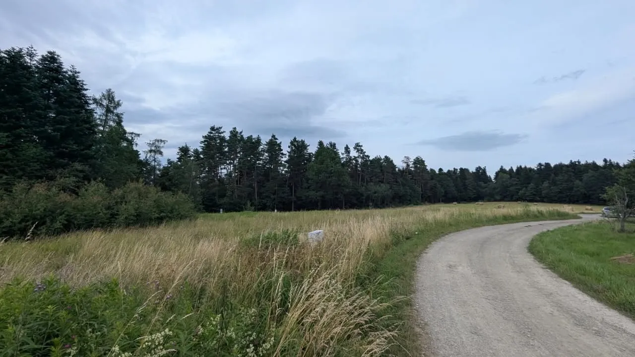 Działka budowlana 55ar- widokowa pod lasem | 6,5km od centrum Nowego Sącza - Biczyce Górne |
