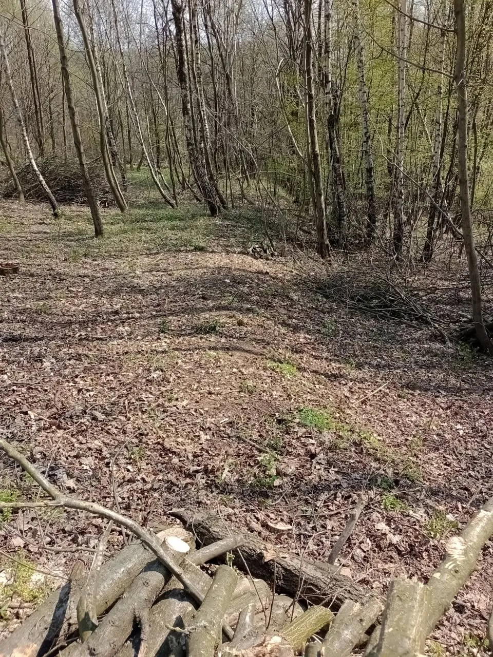 Działki z lasem w miejscowości Dąbrówka Szczepanowska gm.Pleśna woj.Małopolskie - 1,19 ha