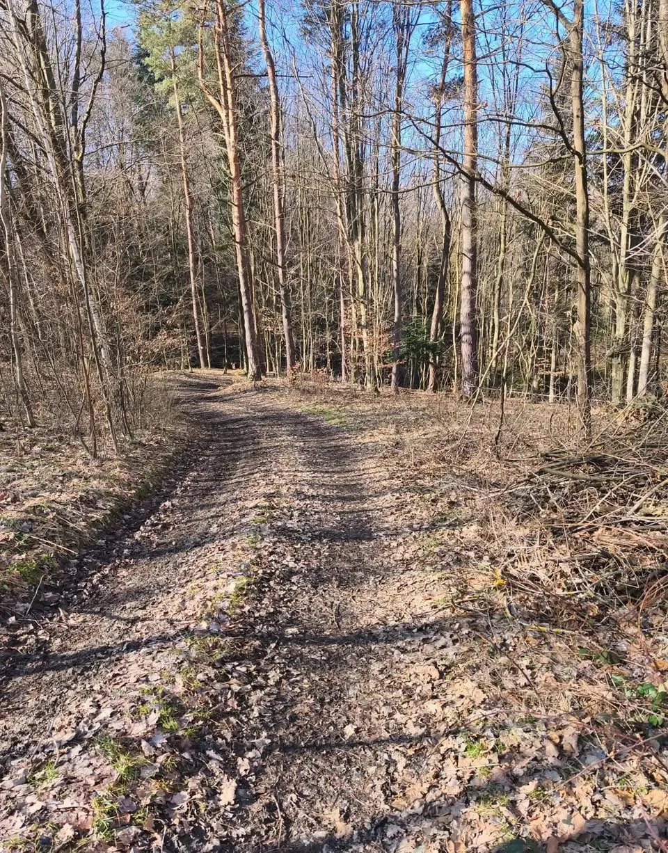 Działka rolna 44 ary – Pogórze Ciężkowickie, widok na Liwocz – miejscowość Dębowa