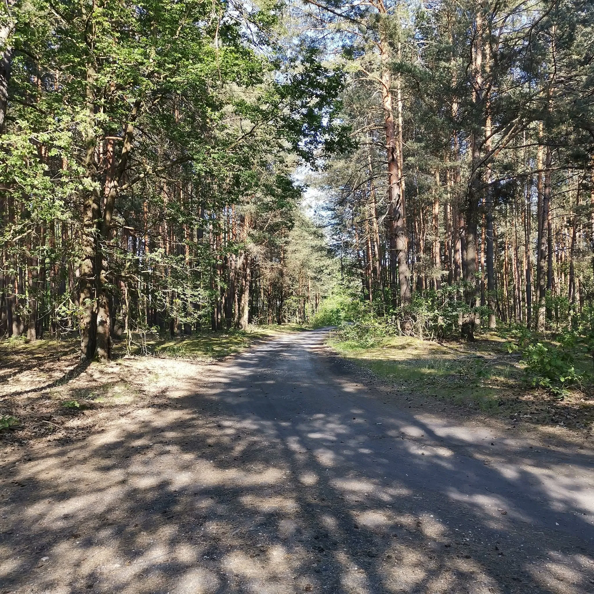 Działka budowlano-rolna z warunkami zabudowy 20 km od Radomska w gminie Kodrąb, miejscowość Klizin ( woj. łódzkie) - 1,34 ha