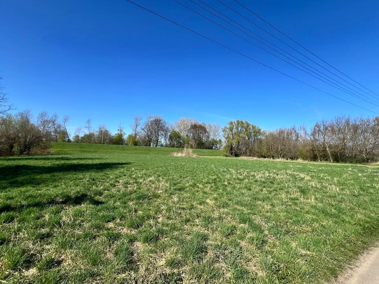 DZIAŁKA 6000m2 Z SADEM – MANIÓW gm. Szczucin (powiat dąbrowski) (MAŁOPOLSKA)
