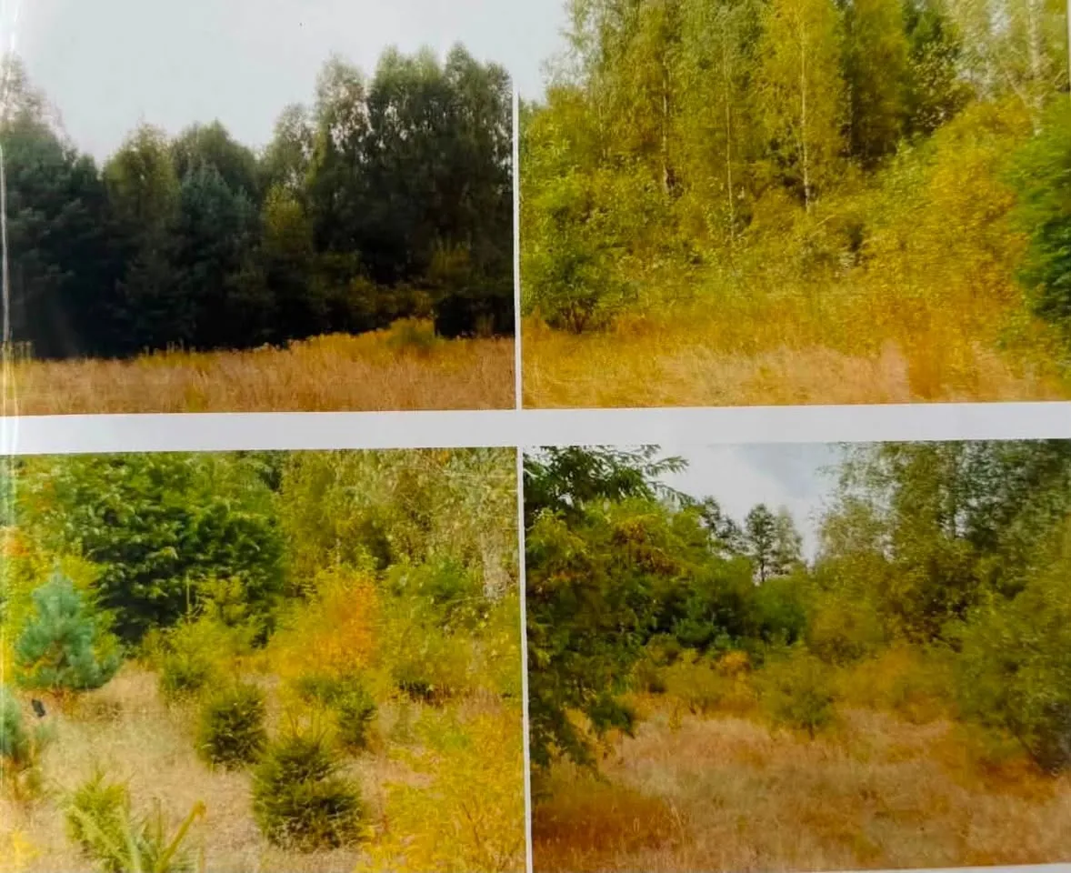 SPRZEDAM DZIAŁKĘ | MROZOWA WOLA | MAZOWIECKIE| 2,0766 ha