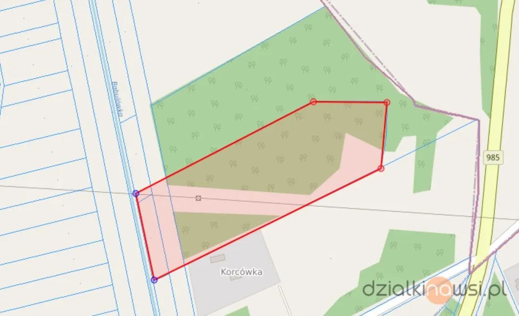 działka leśna