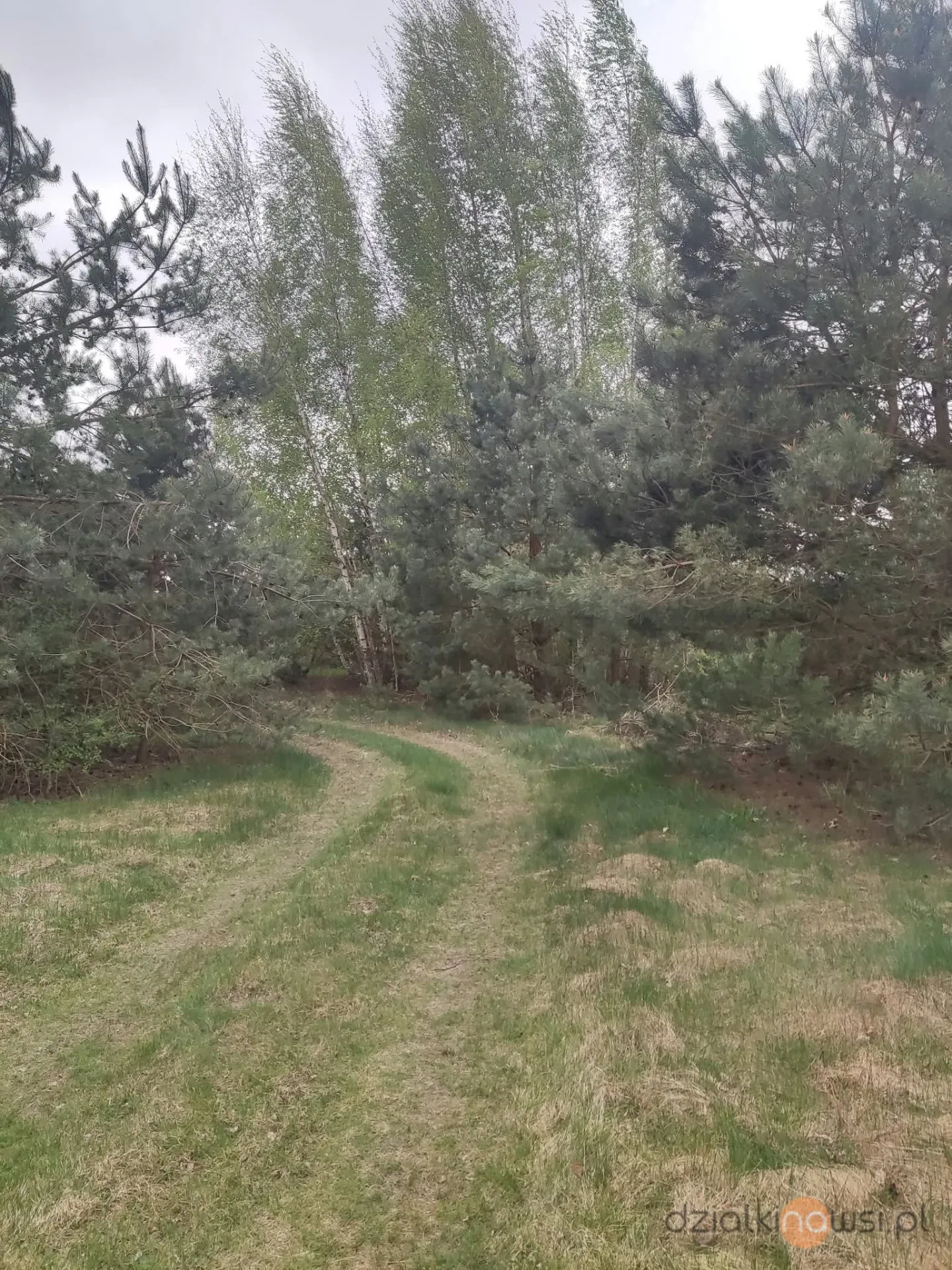 Działka budowlana z linią brzegową blisko Warszawy 1 h S7